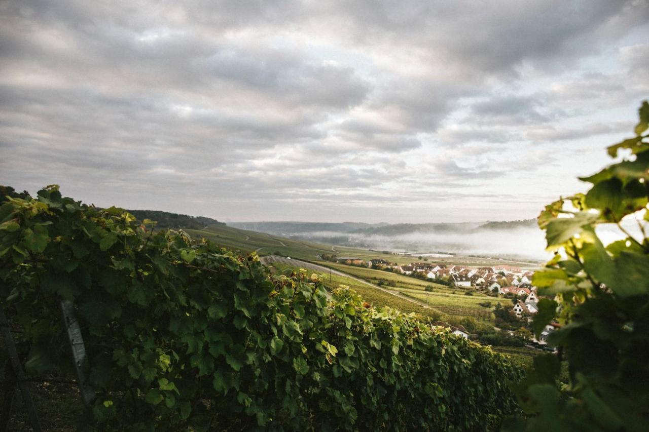 索梅劳森 Weingut Pastoriushaus - Artur Steinmann酒店 外观 照片