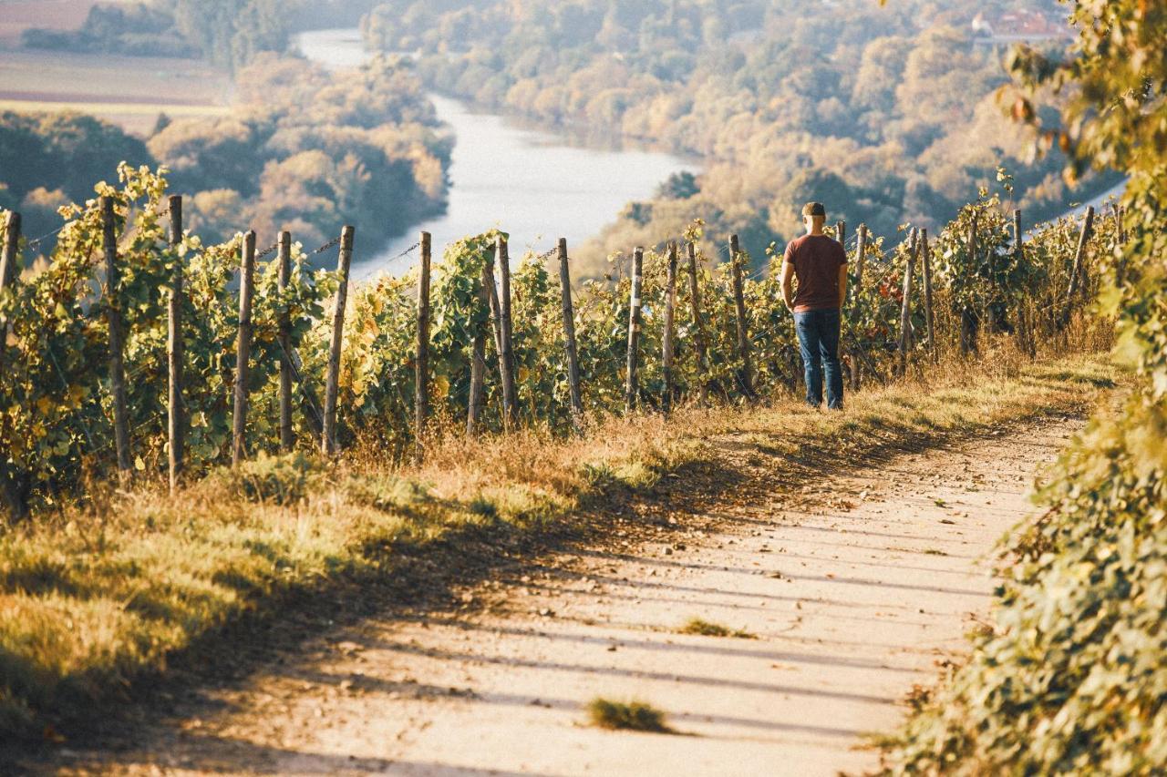 索梅劳森 Weingut Pastoriushaus - Artur Steinmann酒店 外观 照片